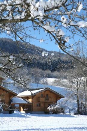 Отель Résidence Néméa Les Chalets du Bois de Champelle  Мориллон